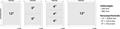 Listing paper, 240 mm, 6